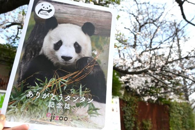 桜見ると思い出す…」あれから1年、「神戸のお嬢様」パンダの