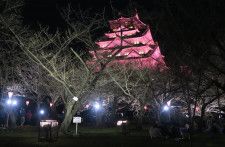 天守閣と桜を楽しめるベストスポット、大阪城公園の「西の丸庭園」（3月30日・大阪市内）