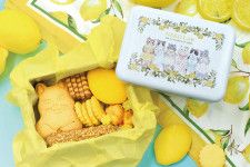 NEKO LAB「夏季限定 レモン缶」（3024円）