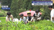子どもから大人まで20人が茶摘みに挑戦　茶摘み体験会　静岡市葵区奥長島の茶畑
