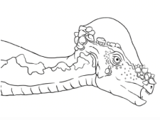恐竜界のキング・オブ・石頭『パキケファロサウルス』の名前の由来とは？【よしお兄さん推薦/すけすけ恐竜骨ぬりえずかん】