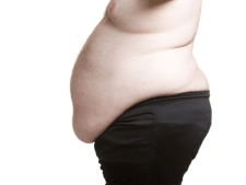 世界的に見ても日本人は内臓脂肪がつきやすいのはナゼ？【図解 内臓脂肪がごっそり落ちる食事術】