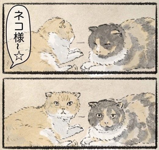 【漫画】「ネコ様〜」の声で起こされた猫　怒りもあらわな心の声に「ごめんなさい！」【作者インタビュー】