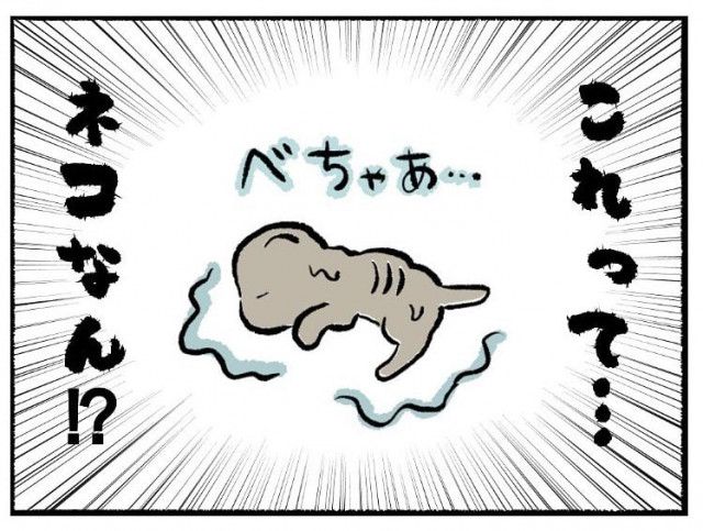 漫画】「ネズミ！？」子猫を3匹も拾ってしまった…初めての