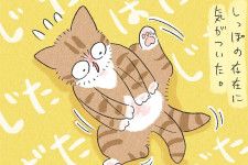 【漫画】しっぽの存在に気付いた赤ちゃん猫　最終形態の表情が「怖すぎ（笑）」