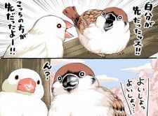 漫画】鳥たちがお花見の場所取り！ 後から来た子が号泣しちゃう？ オチに「いい子！」【作者インタビュー】(マグミクス) - goo ニュース