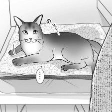 【漫画】愛猫はイヤホンが嫌い！　「骨伝導」に変えた結果…まさかの「聞こえてる」説【作者インタビュー】