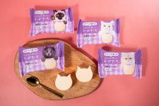 ファミマ、過去最多全21種の”ねこだらけ”に！「ハッピーニャーン」「にゃんチパック」破壊力がスゴイ(マグミクス) - goo ニュース