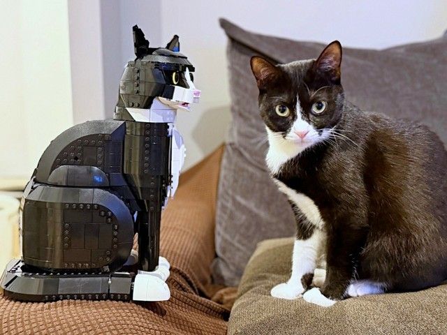 レゴ猫と本物の猫が鼻チュー！？ 5時間で完成した驚異のそっくり