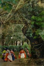 京都ではこれが日常！？木々に囲まれた神社で蹴鞠に興じる平安貴族たち…　タイムスリップしたかのような雅な写真に「風流だなあ」の声
