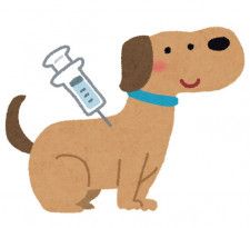 フィラリア症、狂犬病…犬の予防接種はなぜ必要か　飼い主が意外と知らない犬の大事なこと