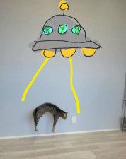 UFOに猫が、ヒュッとさらわれる！？　驚きの写真に「逃げてください」「絵のセンス抜群」