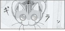 YouTubeアニメでも人気のシリーズ『夜は猫といっしょ』！ 愛猫キュルガとの「和む暮らし」／夜は猫といっしょ5