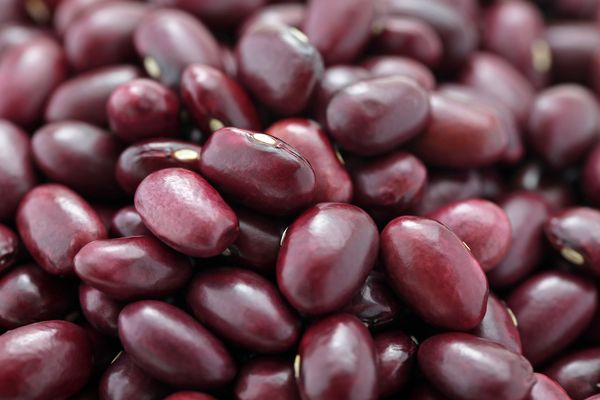 【レシピ】金時豆の揚げないコロッケ、金時豆の知られざる栄養素とは？
