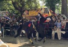 伏見・藤森神社の「神幸祭」でみこし巡行　駈馬神事に歓声