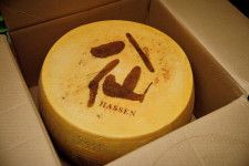 八戸酒造にイタリアから重さ40キロのチーズが届く　日本酒品評会の記念品