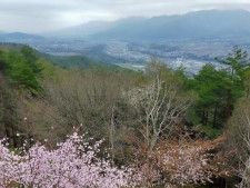 箕輪町の景勝地・萱野高原で「山開き」イベント　シーズン到来祝う