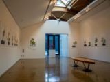 高松の美術館で日系米国人が残した盆栽の写真展　強制収容の歴史にも触れ