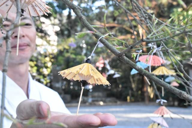 春日神社の傘おみくじ人気