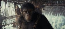 リアルすぎる猿たちの表情を作り上げた『猿の惑星／キングダム』日本人スタッフが、本作のラストについて語る
