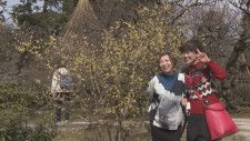北陸地方で「春一番」金沢では14年ぶりの20度超え