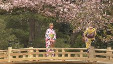 兼六園は”桜吹雪”と”アイス” 暑い石川県内夏日のところも