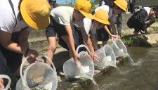 今年で25回目　地元小学生がアユの稚魚放流　石川県白山市