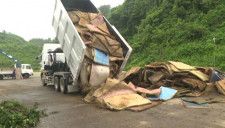 災害廃棄物の畳など金沢市で受け入れ開始 能登半島地震での災害廃棄物は244万トンに上ると推計
