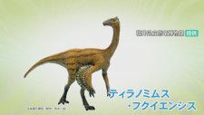 新種の恐竜“ティラノミムス”発見！オルニトミモサウルス類では全国初…福井県で7年ぶりの快挙