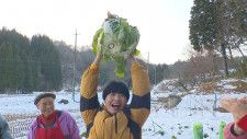 ガンバレルーヤがほっこり田舎暮らし体験！雪の下で育った甘〜い白菜は超巨大！！｜鳥取県日南町