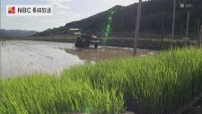 早期米の田植え始まる　長崎県五島市 