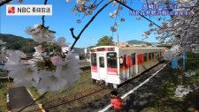 ドローン映像「長崎ばーどアイ」桜のトンネル　佐世保市MR吉井駅のホームを彩る80本の桜