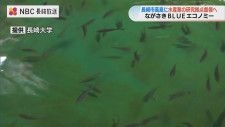 ブリの完全養殖で水産業を持続可能に「ながさきBLUEエコノミー」長崎市高島に新たな研究拠点