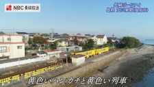 黄色いハンカチに黄色い列車　ホームのすぐそばに有明海 島原鉄道 大三東駅を空から【長崎ばーどアイ】