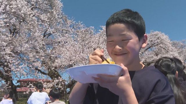 桜の下で50年以上　小学校伝統の「お花見給食」　昭和初期に植えられた50本以上のソメイヨシノ満開