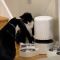 肉球で自動給餌機を操る猫、ピッポッパでカリカリをゲット