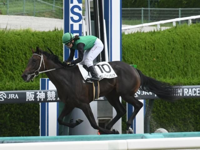 【阪神4R新馬戦結果】トピーズコーナー産駒のクリノファンタジアが圧勝！