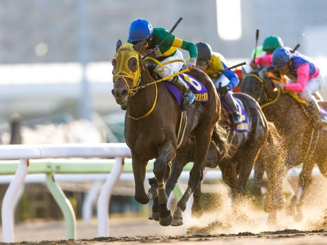 東京大賞典選定馬】連覇かかるウシュバテソーロ、南関東三冠馬ミック