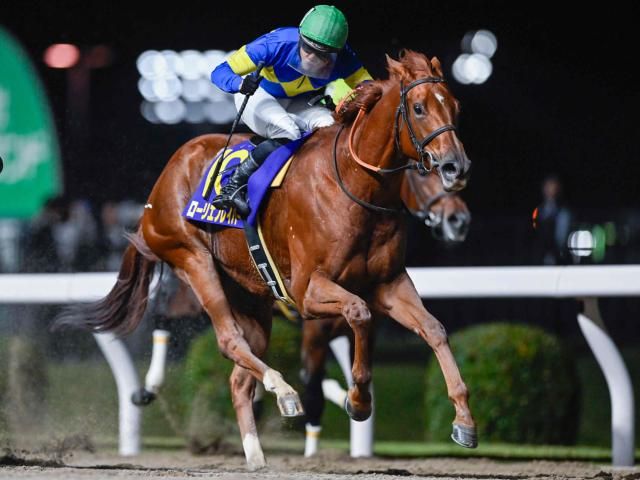 川崎・ロジータ記念結果】昨年の2歳女王ローリエフレイバーが久々の勝利！重賞2勝目を挙げる(netkeiba) - goo ニュース