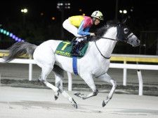 23年マーチS覇者ハヤブサナンデクンが登録抹消 今後は東京競馬場で乗馬に