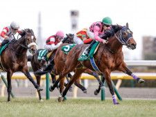 【神戸新聞杯】武豊騎手が13年ぶり4勝目へ ファントムシーフで参戦