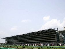 レースが行われる東京競馬場(c)netkeiba.com