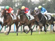 【京都5R新馬戦結果】ゴールドシップ産駒アドミラルシップが激戦を制す