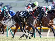 【福島牝馬S予想オッズ】コスタボニータが予想1番人気