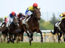 【日本ダービーの偉大な記録】ディープインパクト産駒が7勝で最多 2勝以上を挙げている種牡馬は何頭？