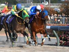 チャンピオンズC結果】レモンポップが接戦を制し有終の美！ 史上