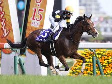 GI・2着4回から悲願の初制覇 ヴィルシーナのヴィクトリアマイルV