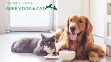 GREEN DOG＆CAT、ブランド名変更で「猫用品」拡充へ アイテム数は8カ月で3倍以上に