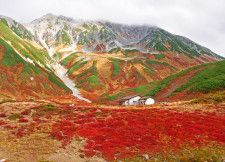 まだ早い？紅葉狩りスタート！日本で一番早い紅葉はどこ？