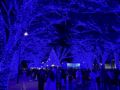 この冬も渋谷が青に染まる！「青の洞窟 SHIBUYA」2023年は新たにクリスマスマーケットも！